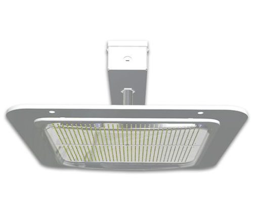 LED Square canopy light