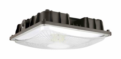 Canopy Lights